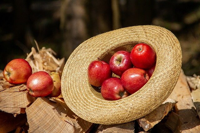 Organic Apples