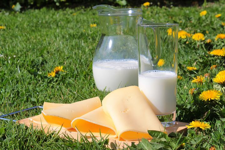 cut down on milk and dairy products
