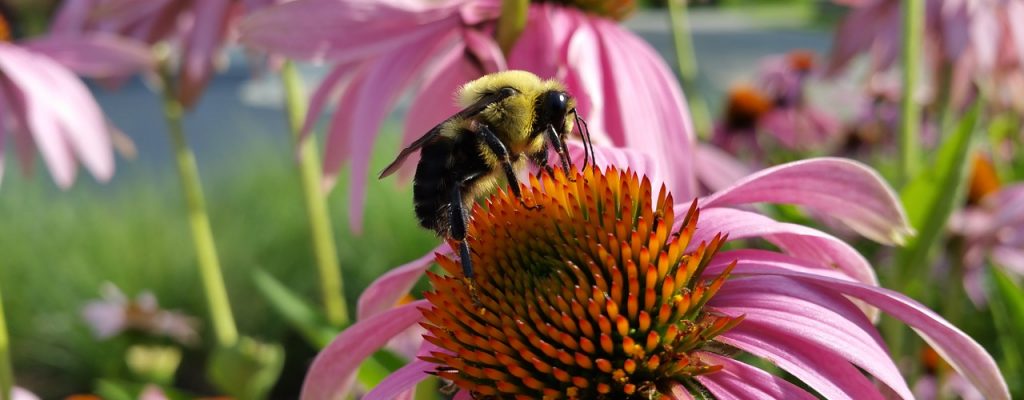 6 Simple tips to boost your immune system and fight the first colds