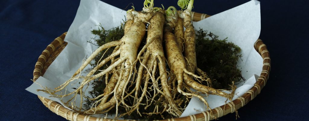 Ginseng adaptogen